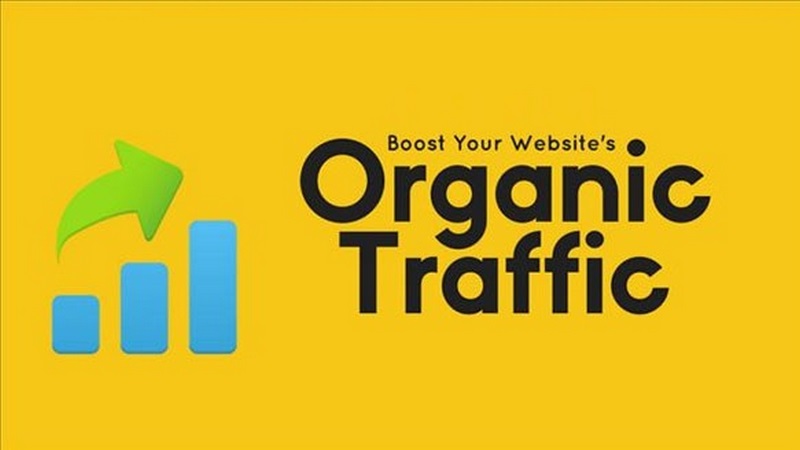 Organic Traffic là lưu lượng truy cập trang web từ tìm kiếm tự nhiên